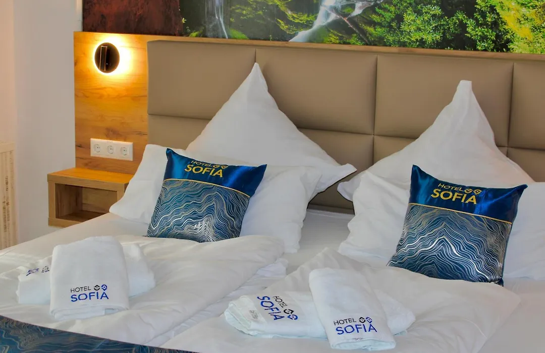 Hotel Sofia-1